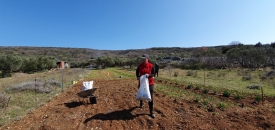 Kako uzgojiti  zdravu hranu u našem povrtnjaku - Zdravo tlo - zdrava hrana
