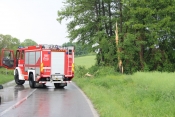 Intervencija vatrogasaca zbog srušenog drveta na cesti