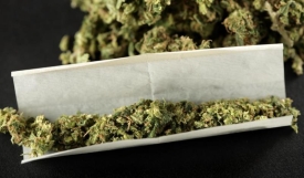 Kod 29-godišnjaka u gradu Požegi policijski službenici pronašli cannabis marihuanu