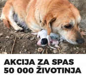 Dupla kuna za spas tisuća pasa i mačaka s Banovine