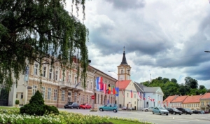 Grad Požega donio odluke o raspodjeli sredstava za programe i projekte Udruga u 2021. godini