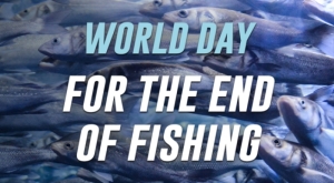 Uz obilježavanje Svjetskog dana za okončanje ribolova - Ribe su tihe žrtve ljudske ravnodušnosti