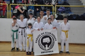 Članovi Karate - do kluba Požega osvojili 21 medalju