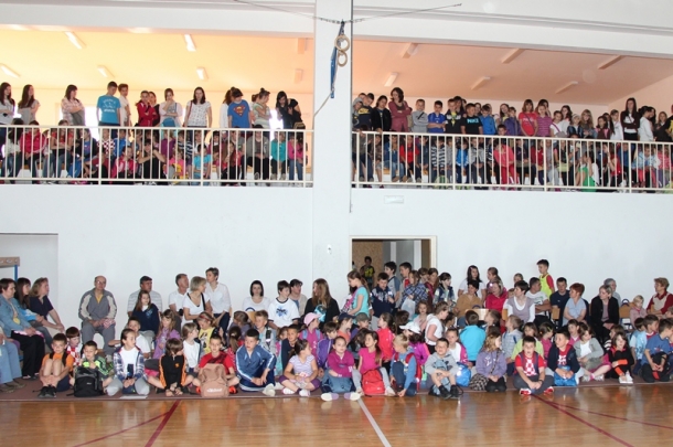 Demonstracija sportova u dvorani i na igralištima