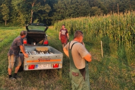 LD Šljuka iz Pleternice aktivno se uključilo na očuvanju nasada i poljoprivrednih površina od divljači u svom lovištu