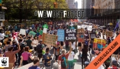 WWF o COP26 u Glasgowu: Sva obećanja moraju biti ispunjena