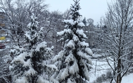 PROMETNA PATROLA - Ne krećite na put ako nemate zimske gume, vozite sporije, prilagođeno, uz povećan razmak i izbjegavajte pretjecanja