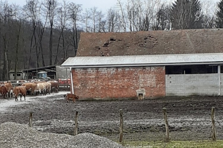 Ostvaren kontakt s 1223 PG-a i zaprimljeno 130 tona stočne hrane
