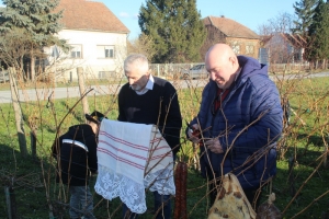 Kaptolčani proslavili Vincelovo