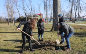 Sade nova stabla u nastradalom pleterničkom Parku, educiraju djecu u vrtićima o projektima održivosti