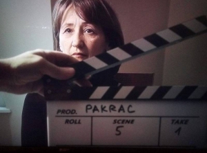 Dokumentarac o herojstvu hrvatskih branitelja u program Pulskog filmskog festivala