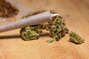 Kod 19-godišnjakinje pronađena marihuana