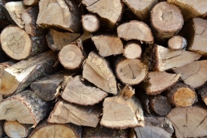 Povećanje popusta i nastavak mjere pomoći za snabdijevanje građana ogrjevnim drvom