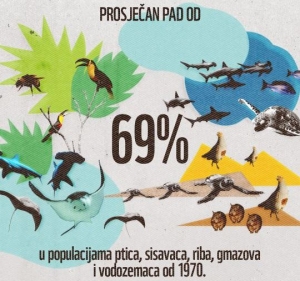 Populacije divljih životinja opale su u prosjeku 69%  za manje od jednog ljudskog vijeka