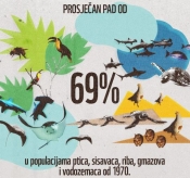 Populacije divljih životinja opale su u prosjeku 69%  za manje od jednog ljudskog vijeka