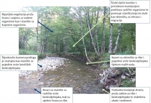 Očuvanjem bioraznolikosti čuvamo tlo od erozije i poplava