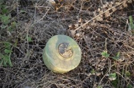 58-godišnjak pronašao u šumi na Novom Zvečevu protupješačku minu - policijski službenik minu je uništio na licu mjesta