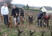 Blagoslovom vinograda i prvim orezivanjem loze započela nova vinogradarska godina u Vinariji Krauthaker