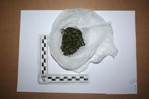 Kod 19-godišnjaka u Požegi i 29-godišnjaka u Jakšiću policija pronašla marihuanu