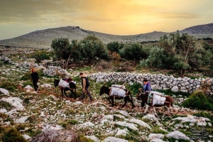 Jeste li znali da Mediteran ima svoj dan? Ovaj dio Zemlje je sve ugroženiji - više pazimo na mjesto na kojem živimo