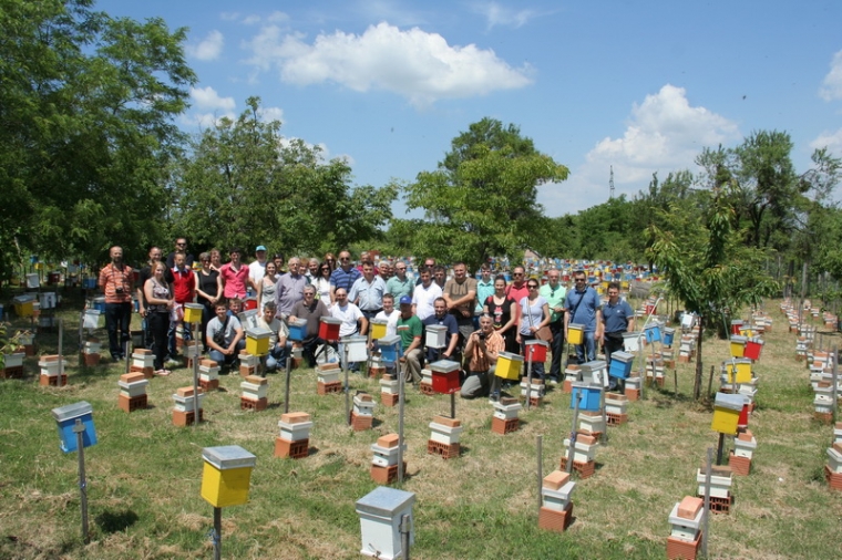 Projekt „The Bee Incubator"