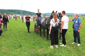 Konjički klub Pleternica organizirao Dan otvorenih vrata na hipodromu i prikazao detalje konjičkog natjecanja u vožnji zaprega