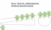 Novo hortikulturno uređenje Trga Sv. Trojstva ispred Biskupije - uklanjaju se tri breze a sadi 7 stabala graba