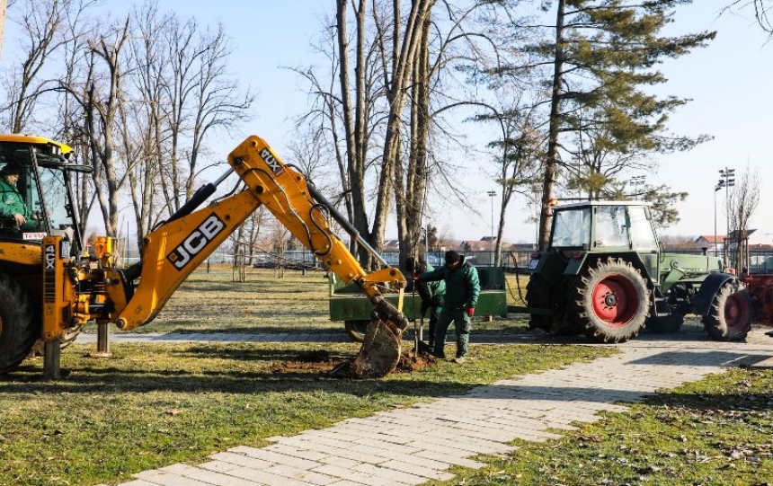 U posljednje 4 godine posađeno preko 1.000 stabala na području Pleternice