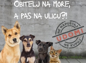 Sezona godišnjih odmora i  napuštanja životinja - Vrućina ubija zatvorene u autu, zaboravljene na lancu, ostavljene bez vode