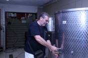 Berba kod Ivice Peraka na najboljim položajima kutjevačkog vinogorja