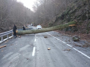 Park prirode Papuk moli posjetitelje da ne dolaze na Jankovac zbog nevremena