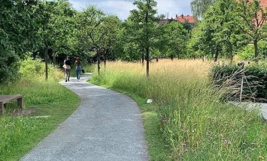 Upućen apel gradovima i općinama u RH - Odgodite košnju urbanih livada radi zaštite ugroženih oprašivača