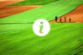 Do 1. lipnja produljen rok za podnošenje Jedinstvenih zahtjeva za 2026. godinu za potpore poljoprivredi i IAKS mjera ruralnog razvoja za 2026. godinu