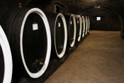Vremeplov graševina od 1960. do danas na grandioznoj radionici vinarije Kutjevo