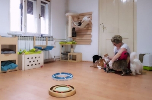 Propisani bolji uvjeti za životinje u skloništima
