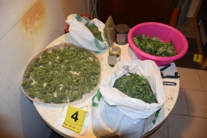 Kod 21-godišnjaka u Eminovcima pronašli cannabis marihuanu