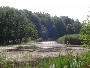 Glavni adut za razvoj turizma 