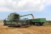 Prinosi sjemenske pšenice kod Grbića preko 9 tona