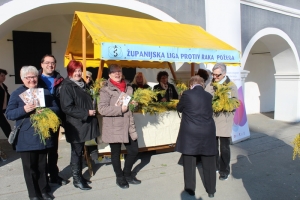 Danas imamo snažno oružje u borbi protiv raka vrata maternice, treba ga koristiti!