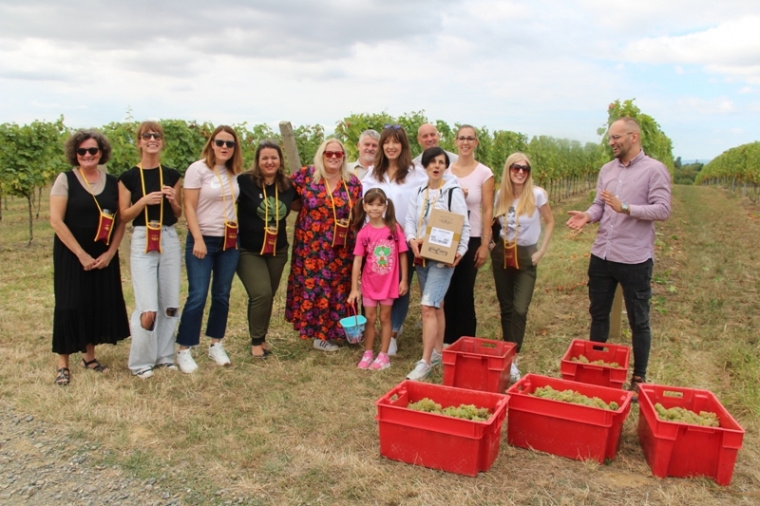 Za gostujuće turističke novinare organizirana Berba grožđa u vinogradu iznad Vetova i degustacija vina Kutjeva d.d.
