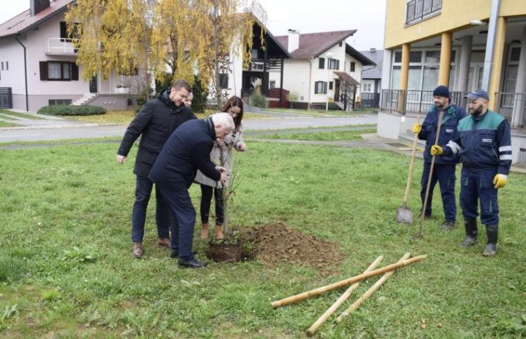 Nastavljena kampanja "Zasadi stablo, ne budi panj" i sadnja 50-tak stabala u Požegi