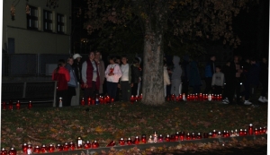 Na brojnim mjestima u gradu Požegi zapaljeni lampioni, a najviše ih svijetli u Vukovarskoj ulici