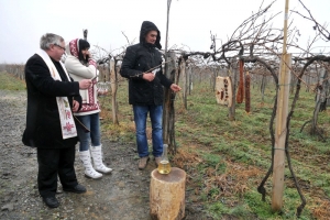 Vincelovo kod Jakobovića u Vetovu