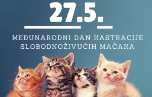 27. svibnja obilježava se Međunarodni dan kastracije slobodnoživućih mačaka - gradovi i općine preuzmite odgovornost