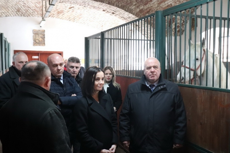Ove godine započinje izgradnja nove Državne ergele u Lipiku