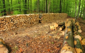 52-godišnjak putem oglasnika dogovorio nabavku drva, ali smatra da je prevaren u manjoj količini i kvaliteti drva