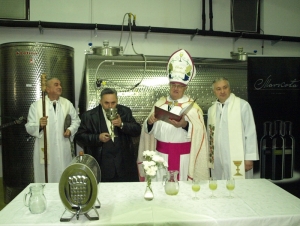 Običaj krštenja mošta u Pleternici