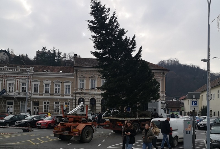 Požeški Trg sv. Trojstva dobio svoj božićni i novogodišnji bor