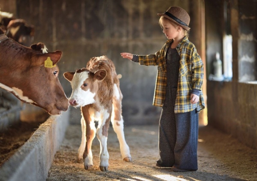 Završio natječaj RuralFoto 2024. - Evo tko su pobjednici za najbolju ruralnu fotografiju