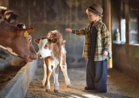 Završio natječaj RuralFoto 2024. -  Evo tko su pobjednici za najbolju ruralnu fotografiju